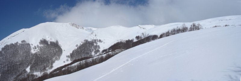 dsc04390.jpg