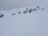 dsc04419_small.jpg