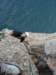 dsc04446_small.jpg
