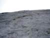 dsc04495_small.jpg