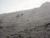 dsc04503_small.jpg