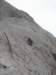 dsc04522_small.jpg