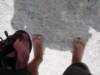 dsc04530_small.jpg