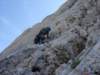 dsc04533_small.jpg