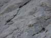dsc04536_small.jpg