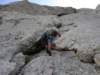 dsc04538_small.jpg