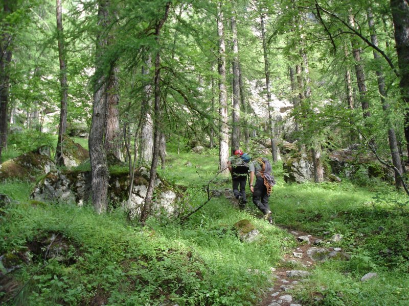 dsc04602.jpg