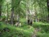 dsc04602_small.jpg