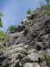 dsc04615_small.jpg