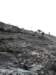 dsc04632_small.jpg