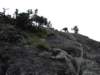 dsc04638_small.jpg
