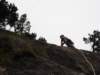 dsc04639_small.jpg