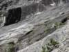 dsc04690_small.jpg