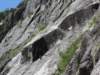 dsc04701_small.jpg
