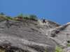 dsc04705_small.jpg