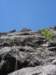 dsc04715_small.jpg
