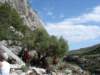 dsc04773_small.jpg
