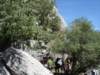 dsc04777_small.jpg