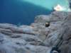 dsc04798_small.jpg