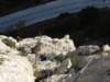 dsc04825_small.jpg