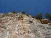dsc04833_small.jpg
