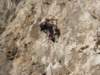 dsc04837_small.jpg