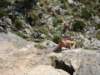 dsc04842_small.jpg