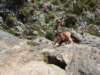 dsc04843_small.jpg