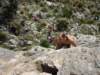 dsc04844_small.jpg