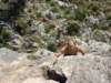 dsc04845_small.jpg