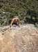 dsc04848_small.jpg