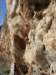 dsc04854_small.jpg