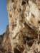 dsc04855_small.jpg
