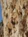 dsc04858_small.jpg