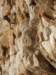 dsc04859_small.jpg