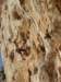 dsc04860_small.jpg