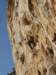 dsc04861_small.jpg