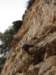 dsc04895_small.jpg