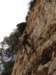 dsc04896_small.jpg