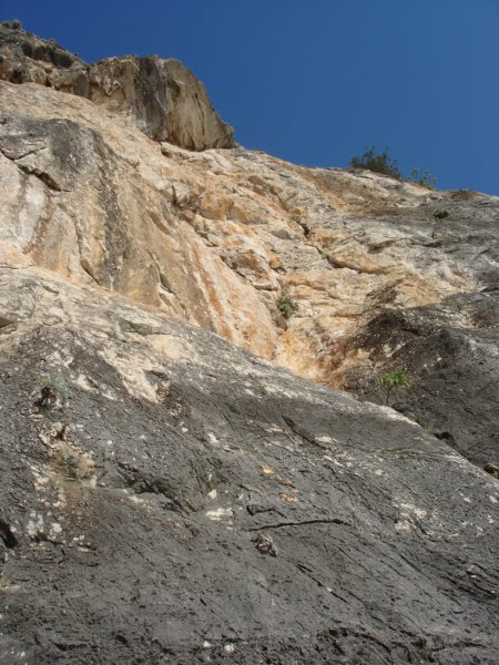 dsc04900.jpg