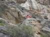 dsc04940_small.jpg