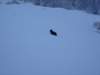 dsc04956_small.jpg
