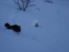 dsc04957_small.jpg