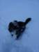 dsc04960_small.jpg