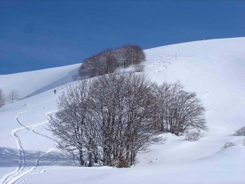 dsc04997.jpg