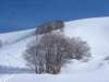 dsc04997_small.jpg