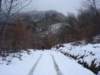 dsc04998_small.jpg