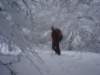 dsc05001_small.jpg