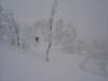 dsc05004_small.jpg