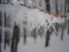 dsc05006_small.jpg